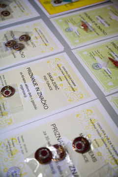 2026-02-28 PGD Tunjice Obcˇni zbor-2